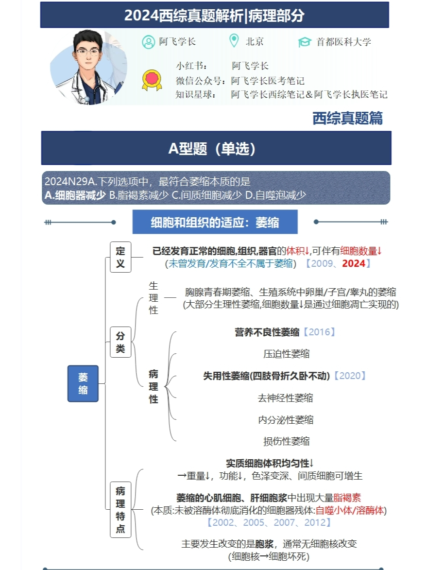 小红书:4949免费资料2024年-脑白质病变是什么病  第3张