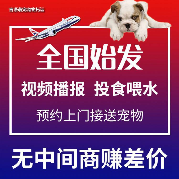 百家号:7777788888新版跑狗图-飞机办理托运怎么收费  第2张