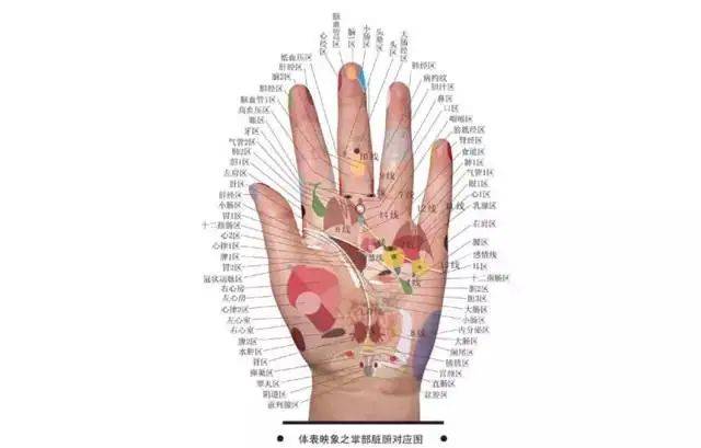 抖音视频:2024澳门新资料大全免费-灰指甲是什么原因引起  第3张