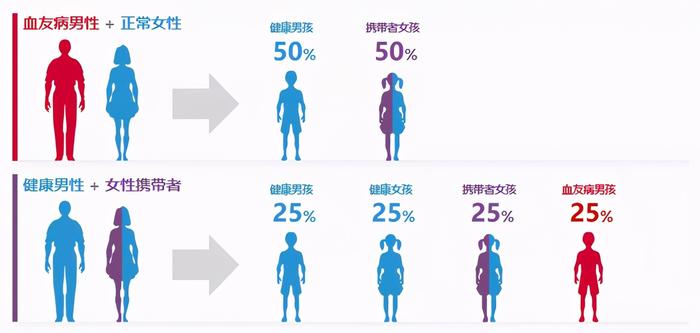 搜狐订阅：新澳门精准资料期期精准-女子长期乏力 全家查出吸血鬼病基因  第1张