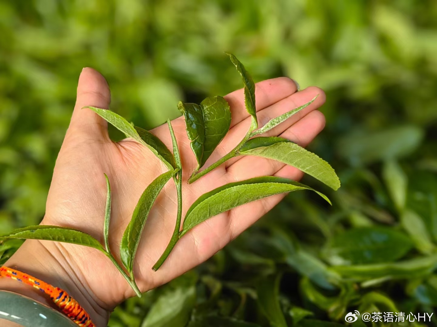 小红书:香港一肖中特马-兔子先生哪个电影  第3张