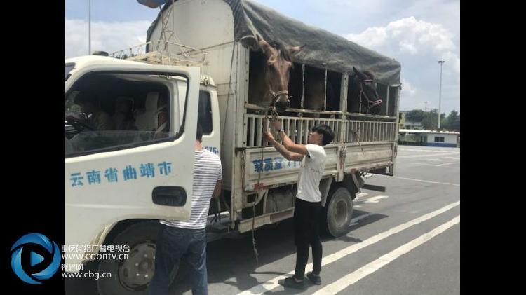 百度平台:2024今晚澳门开特马-冷藏货车违规带人致8死 均为女性  第1张