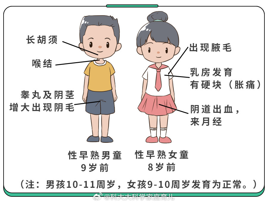 搜狐:新澳彩免费资料-什么是性早熟  第3张