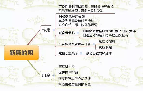 搜狐:新澳彩资料免费资料大全-什么东西可以解酒  第3张