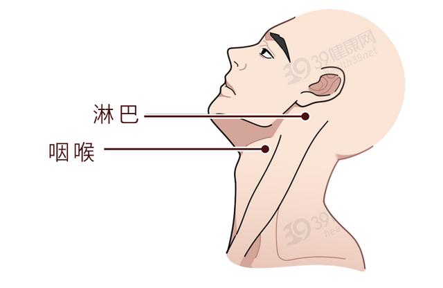 中新网:香港资料免费长期公开-咽喉炎吃什么药有效  第1张