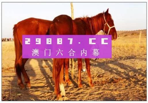 网易:4949澳门彩开奖结果生肖版-run什么意思  第2张