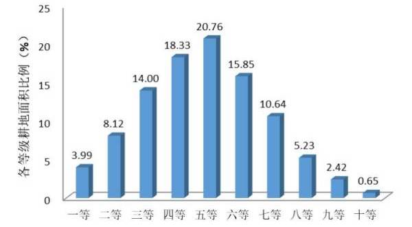 搜狐:二四六香港免费开奖记录-钙片什么时候吃吸收最好  第3张