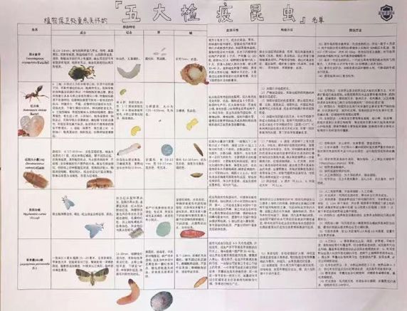 搜狐订阅：新澳彩资料免费长期公开五十期-语文145分学霸笔记公开字迹清秀  第2张