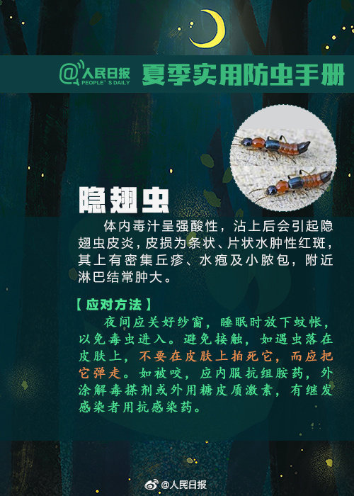 微博订阅:澳门一肖一码一必开一肖-隐翅虫长什么样  第2张